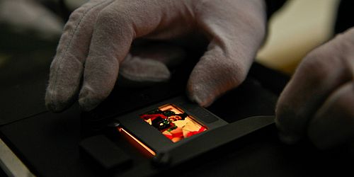 Consulting & Digitizing